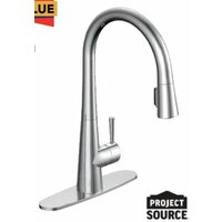 Project Source Yeva Pull-Down Kitchen Faucet