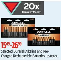 Duracell Alkaline And Precharged Rechargeable Batteries