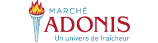 Marche Adonis Flyer