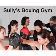 $20 for 20 Boxercise Classes