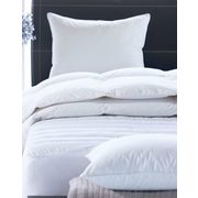Pillows by Sealy and live Comfortably  - BOGO 50% off