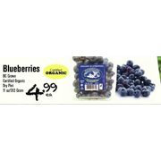 Blueberries - $4.99