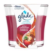Glade Small Jar Candle Or Wax Melts - 3/$10.00