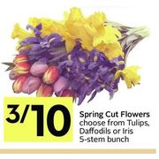 Spring Cut Flowers, Choose From Tulips, Daffodils Or Iris - 3/$10.00