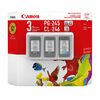 Canon PG-245/CL-246 Club Pack Ink - $74.99