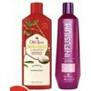 Infusium Or Old Spice Hair Care Products - $5.99